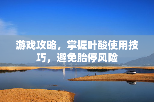 游戏攻略，掌握叶酸使用技巧，避免胎停风险