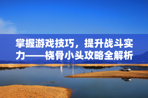掌握游戏技巧，提升战斗实力——桡骨小头攻略全解析