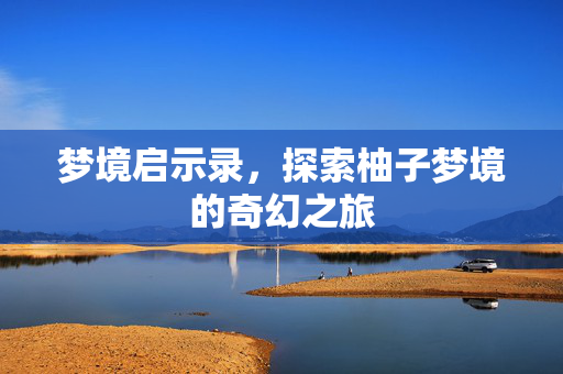 梦境启示录，探索柚子梦境的奇幻之旅