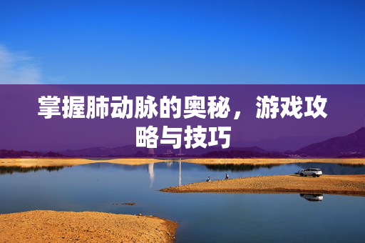 掌握肺动脉的奥秘，游戏攻略与技巧