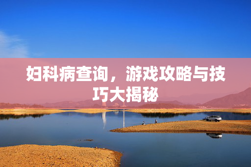 妇科病查询，游戏攻略与技巧大揭秘