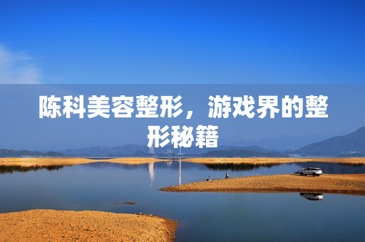 陈科美容整形，游戏界的整形秘籍