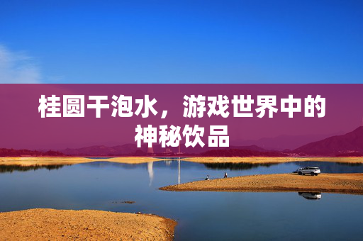 桂圆干泡水，游戏世界中的神秘饮品