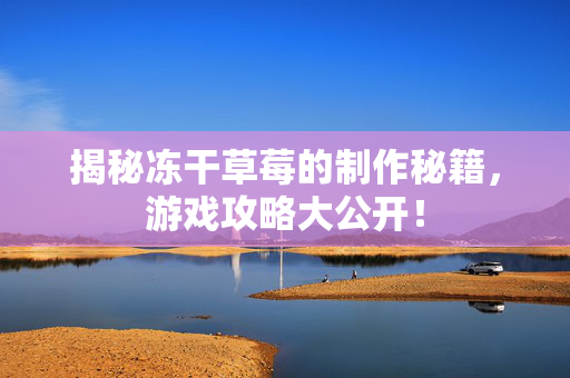 揭秘冻干草莓的制作秘籍，游戏攻略大公开！