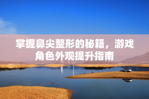 掌握鼻尖整形的秘籍，游戏角色外观提升指南