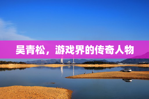 吴青松，游戏界的传奇人物