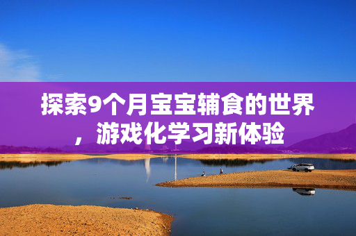 探索9个月宝宝辅食的世界，游戏化学习新体验