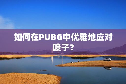如何在PUBG中优雅地应对喷子？