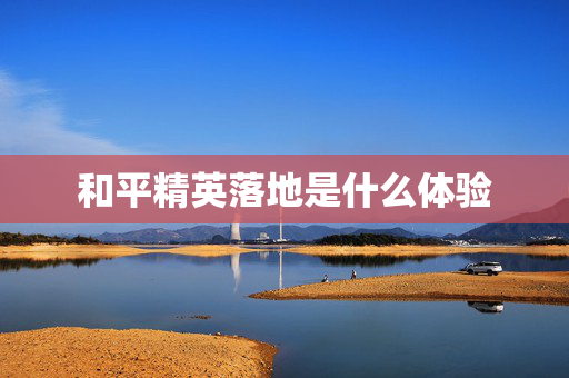 和平精英落地是什么体验