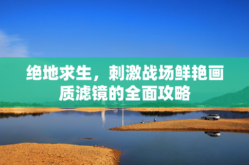 绝地求生，刺激战场鲜艳画质滤镜的全面攻略