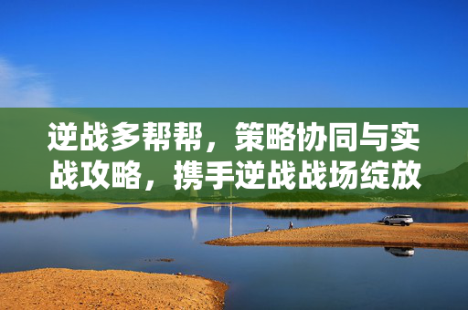 逆战多帮帮，策略协同与实战攻略，携手逆战战场绽放光芒