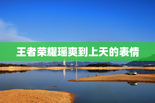 王者荣耀瑶爽到上天的表情