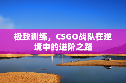 极致训练，CSGO战队在逆境中的进阶之路