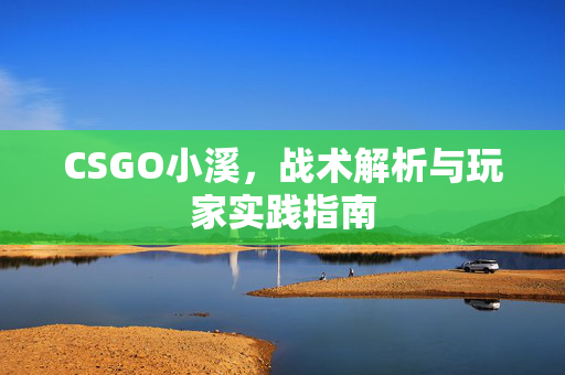 CSGO小溪，战术解析与玩家实践指南