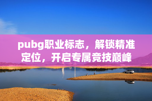 pubg职业标志，解锁精准定位，开启专属竞技巅峰