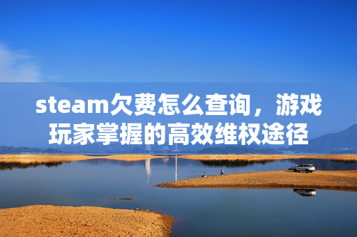steam欠费怎么查询，游戏玩家掌握的高效维权途径