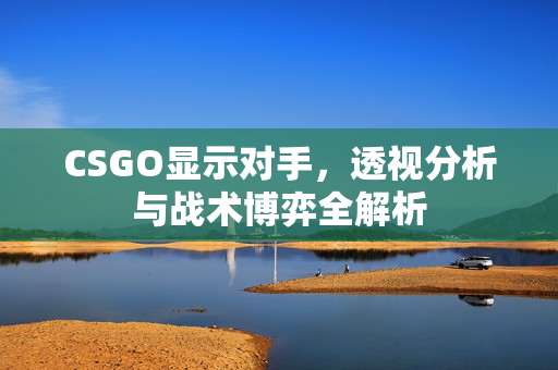 CSGO显示对手，透视分析与战术博弈全解析