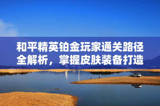 和平精英铂金玩家通关路径全解析，掌握皮肤装备打造技巧，助力游戏体验跃升