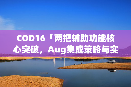 COD16「两把辅助功能核心突破，Aug集成策略与实战解析