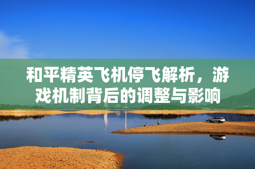 和平精英飞机停飞解析，游戏机制背后的调整与影响