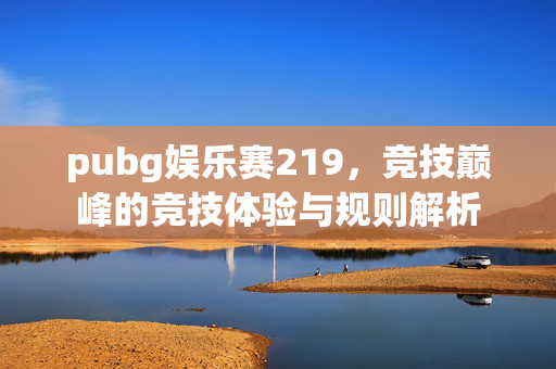 pubg娱乐赛219，竞技巅峰的竞技体验与规则解析