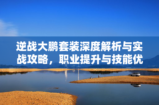 逆战大鹏套装深度解析与实战攻略，职业提升与技能优化方向