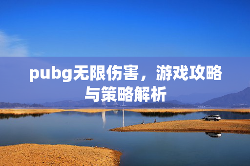 pubg无限伤害，游戏攻略与策略解析