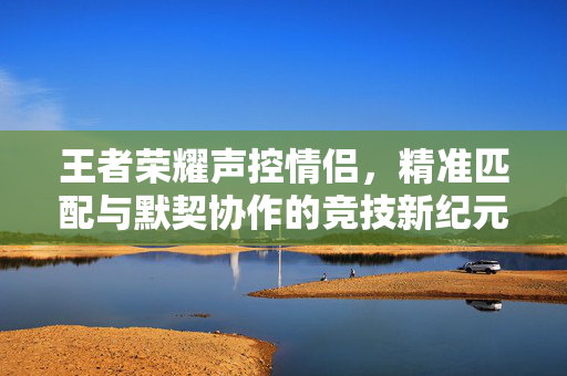 王者荣耀声控情侣，精准匹配与默契协作的竞技新纪元