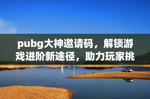 pubg大神邀请码，解锁游戏进阶新途径，助力玩家挑战更高段位