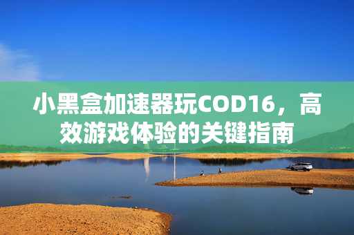 小黑盒加速器玩COD16，高效游戏体验的关键指南