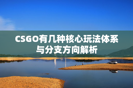 CSGO有几种核心玩法体系与分支方向解析