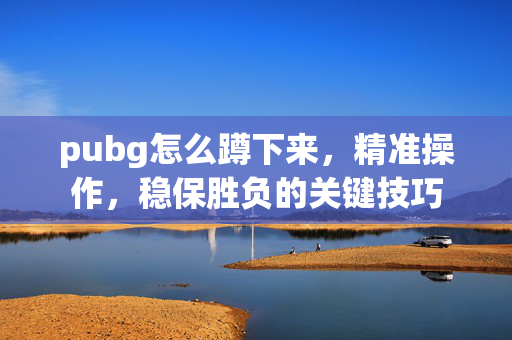 pubg怎么蹲下来，精准操作，稳保胜负的关键技巧