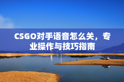 CSGO对手语音怎么关，专业操作与技巧指南