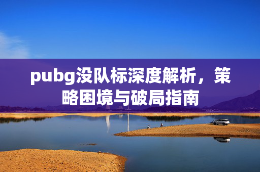 pubg没队标深度解析，策略困境与破局指南