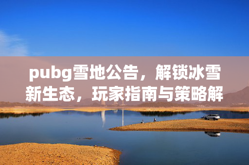 pubg雪地公告，解锁冰雪新生态，玩家指南与策略解析