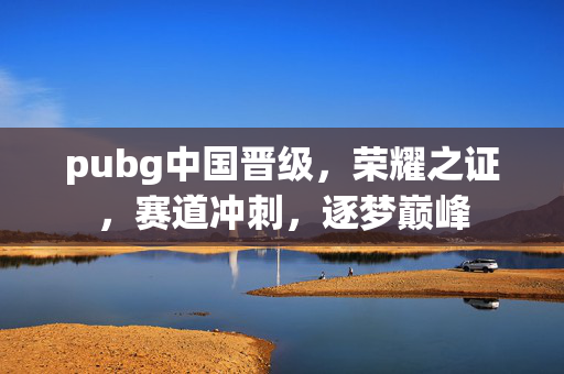 pubg中国晋级，荣耀之证，赛道冲刺，逐梦巅峰