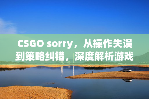 CSGO sorry，从操作失误到策略纠错，深度解析游戏中的遗憾场景与解决之道