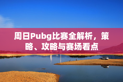 周日Pubg比赛全解析，策略、攻略与赛场看点