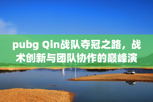 pubg Qin战队夺冠之路，战术创新与团队协作的巅峰演绎