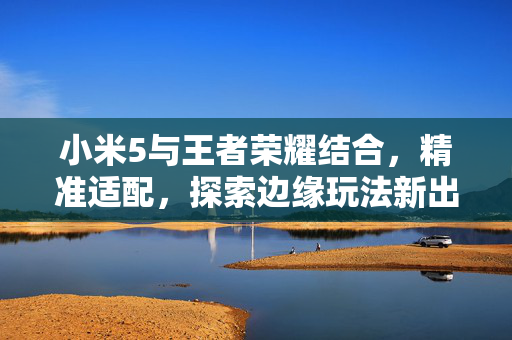 小米5与王者荣耀结合，精准适配，探索边缘玩法新出路