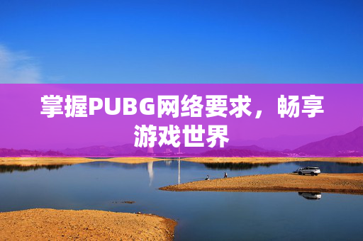 掌握PUBG网络要求，畅享游戏世界