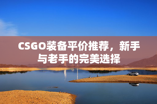 CSGO装备平价推荐，新手与老手的完美选择