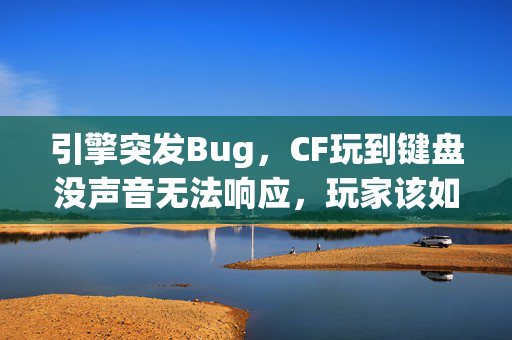 引擎突发Bug，CF玩到键盘没声音无法响应，玩家该如何排查与解决？