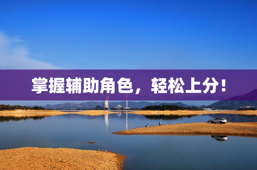 掌握辅助角色，轻松上分！