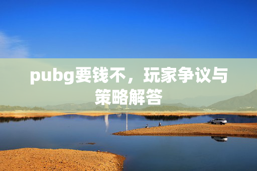 pubg要钱不，玩家争议与策略解答