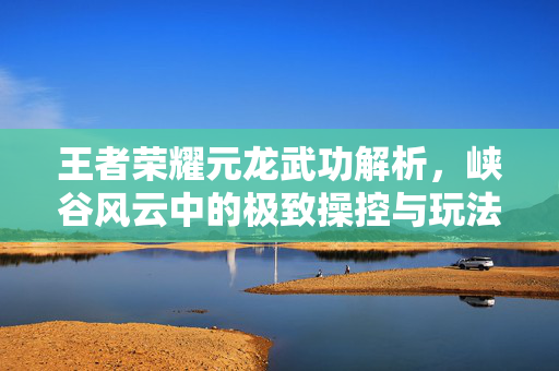 王者荣耀元龙武功解析，峡谷风云中的极致操控与玩法