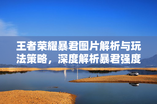 王者荣耀暴君图片解析与玩法策略，深度解析暴君强度及操作攻略