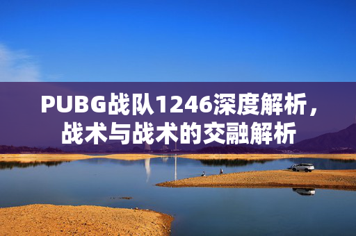 PUBG战队1246深度解析，战术与战术的交融解析