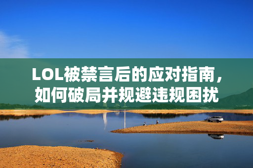 LOL被禁言后的应对指南，如何破局并规避违规困扰