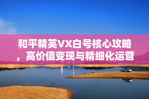 和平精英VX白号核心攻略，高价值变现与精细化运营全指南